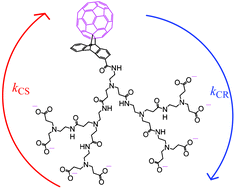 Graphical abstract: Photoinduced charge separation and charge recombination of fullerene bearing dendritic poly(amidoamine) with carboxylates at the terminal in aqueous media