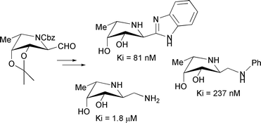 Graphical abstract: Stereoselective synthesis of (2S,3S,4R,5S)-5-methylpyrrolidine-3,4-diol derivatives that are highly selective α-l-fucosidase inhibitors