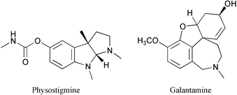 Graphical abstract: Acetylcholinesterase inhibitors from plants and fungi