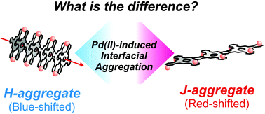 Graphical abstract: Interfacial aggregation of thioether-substituted phthalocyaninatomagnesium(ii)–palladium(ii) complexes in the toluene/water system