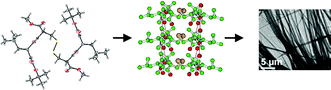 Graphical abstract: The role of the disulfide bond in amyloid-like fibrillogenesis in a model peptide system