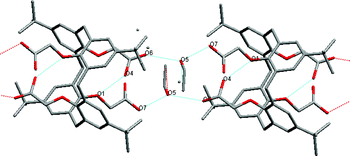 Graphical abstract: Fibriform one-dimensional hydrogen-bonded network composed of 1,2-alt calix[4]arene tetra acetic acid