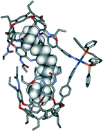 Graphical abstract: Metal directed assembly of ditopic containers and their complexes with alkylammonium salts
