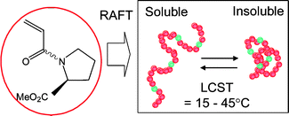 Graphical abstract: Controlled synthesis of thermoresponsive polymers derived from l-proline via RAFT polymerization