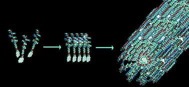 Graphical abstract: Encapsulation of pyrene within self-assembled peptide amphiphile nanofibers