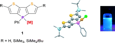 Graphical abstract: Synthesis and optoelectronic properties of transition metal complexes incorporating dithieno[3,2-b:2′,3′-d]phosphole ligands