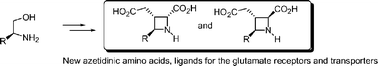 Graphical abstract: Azetidinic amino acids: stereocontrolled synthesis and pharmacological characterization as ligands for glutamate receptors and transporters