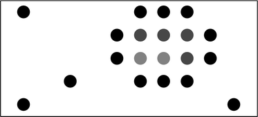 Graphical abstract: Simulation of proliferation of neural stem cells on a surface with emphasis on spatial constraints on cell division