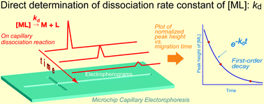 Graphical abstract: A microchip capillary electrophoretic reactor: a new methodology for direct measurement of dissociation kinetics of metal complexes