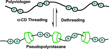 Graphical abstract: Monitoring cyclodextrin–polyviologen pseudopolyrotaxanes with the Bradford assay