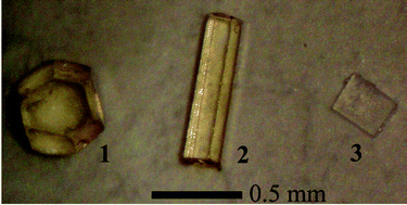 Graphical abstract: Supramolecular isomerism within three-dimensional 3-connected nets: unusual synthesis and characterization of trimorphic copper(i) 3,5-dimethyl-1,2,4-triazolate