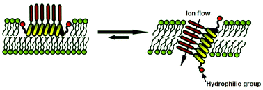 Graphical abstract: End group engineering of artificial ion channels