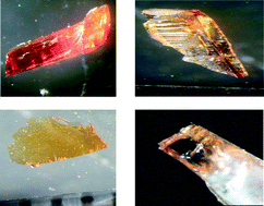 Graphical abstract: Cultivating crystal forms