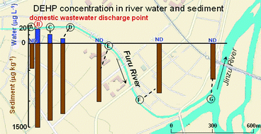 Graphical abstract: Behavior of di(2-ethylhexyl) phthalate discharged from domestic waste water into aquatic environment
