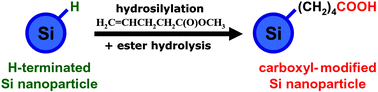 Graphical abstract: Carboxyl functionalization of ultrasmall luminescent silicon nanoparticles through thermal hydrosilylation