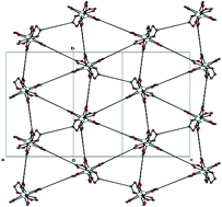 Graphical abstract: A unique example of a 36 tessellated 2-D net based on a tri-nuclear zinc(ii)-1,4-benzenedicarboxylate framework