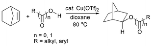 Graphical abstract: Copper(ii)-catalysed addition of O–H bonds to norbornene