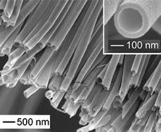 Graphical abstract: Some recent developments in the chemical synthesis of inorganic nanotubes