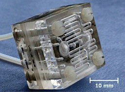 Graphical abstract: AC electroosmotic pump with bubble-free palladium electrodes and rectifying polymer membrane valves