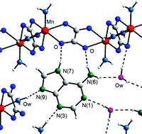 Graphical abstract: Supramolecular architectures assembled by the interaction of purine nucleobases with metal-oxalato frameworks. Non-covalent stabilization of the 7H-adenine tautomer in the solid-state