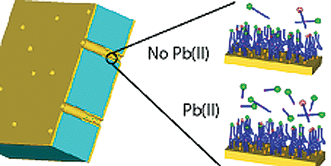 Graphical abstract: Incorporation of a DNAzyme into Au-coated nanocapillary array membranes with an internal standard for Pb(ii) sensing