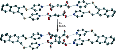 Graphical abstract: Reversing the code of a template-directed solid-state synthesis: a bipyridine template that directs a single-crystal-to-single-crystal [2 + 2] photodimerisation of a dicarboxylic acid