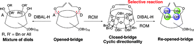 Graphical abstract: Sequential ring closing/opening metathesis for the highly selective synthesis of a triply bifunctionalized α-cyclodextrin
