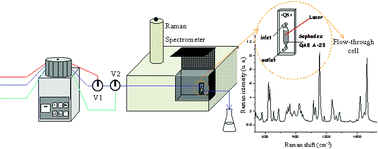 Graphical abstract: Flow-through sensor with Fourier transform Raman detection for determination of sulfonamides