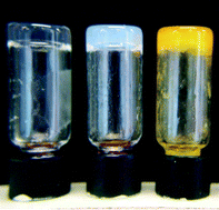 Graphical abstract: Semicarbazides as gel forming agents for common solvents and liquid crystals