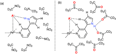 Graphical abstract: NH vs. CH hydrogen bond formation in metal–organic anion receptors containing pyrrolylpyridine ligands