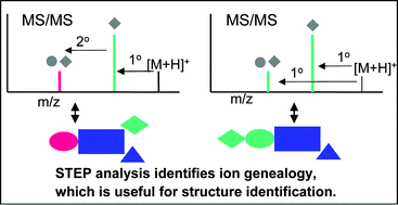 Graphical abstract: The STEP method (statistical test of equivalent pathways): application to pharmaceuticals