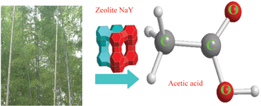 Graphical abstract: Catalytic pyrolysis of several kinds of bamboos over zeolite NaY