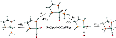 Graphical abstract: Contrasting photochemical and thermal reactivity of Ru(CO)2(PPh3)(dppe) towards hydrogen rationalised by parahydrogen NMR and DFT studies