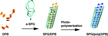 Graphical abstract: Poly(diacetylene)-nanofibers can be fabricated through photo-irradiation using natural polysaccharide schizophyllan as a one-dimensional mold