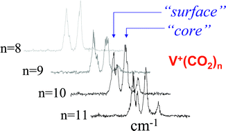 Graphical abstract: Frontiers in the infrared spectroscopy of gas phase metal ion complexes
