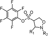 Graphical abstract: Inhibition of dimethylarginine dimethylaminohydrolase (DDAH) and arginine deiminase (ADI) by pentafluorophenyl (PFP) sulfonates