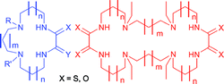 Graphical abstract: Synthesis of nitrogen and sulfur macrocycles with cis exogenous oxygen and sulfur donor atoms