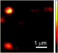 Graphical abstract: Fabrication of suspended single-walled carbon nanotubes via a direct lithographic route