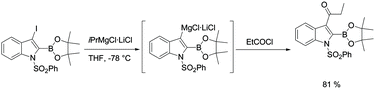 Graphical abstract: Functionalized magnesium organometallics as versatile intermediates for the synthesis of polyfunctional heterocycles