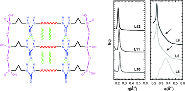 Graphical abstract: Structural ordering of self-assembled alkylene-bridged silsesquioxanes probed by X-ray diffraction experiments