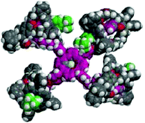 Graphical abstract: Self-assembly studies of allosteric photosynthetic antenna model systems