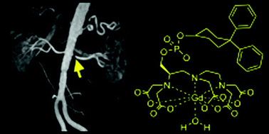 Graphical abstract: Strategies for increasing the sensitivity of gadolinium based MRI contrast agents