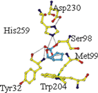 Graphical abstract: Synthesis and characterisation of a ligand that forms a stable tetrahedral intermediate in the active site of the Aureobacterium species (−) γ-lactamase
