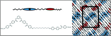 Graphical abstract: Mesogenic dimers composed of a calamitic and a bent-core mesogenic unit