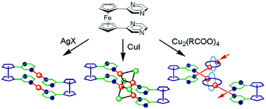 Graphical abstract: Metal complexes from 1,1′-di(pyrazinyl)ferrocene: coordination polymers and bridged diferrocenes