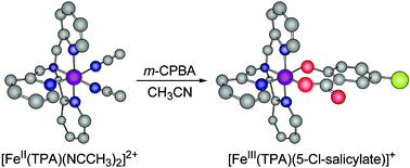 Graphical abstract: Self-hydroxylation of perbenzoic acids at a nonheme iron(ii) center