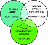 Graphical abstract: Green chemistry in perspective—models for GC activities and GC policy and knowledge areas