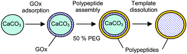 Graphical abstract: High-capacity functional protein encapsulation in nanoengineered polypeptide microcapsules