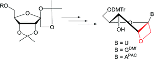 Graphical abstract: Facile preparation of the oxetane-nucleosides