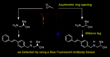 Graphical abstract: Chiral sensing using a blue fluorescent antibody
